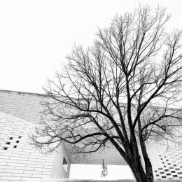 vignette