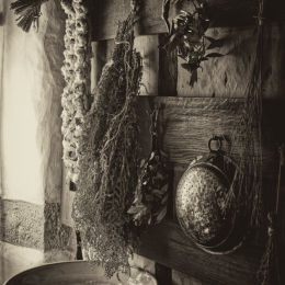 vignette